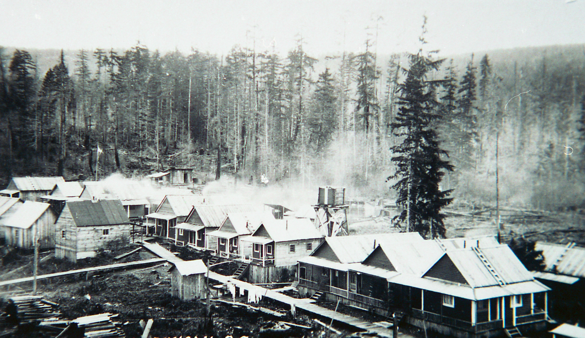 A black-and-white photograph displaying Paldi townsite with a vast forest of skinny trees in the background. The foreground shows evidence of lumber work, including stacks of lumber.
